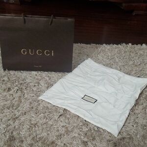Gucci Dark Brown Bag with White Cover